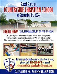 school flyer